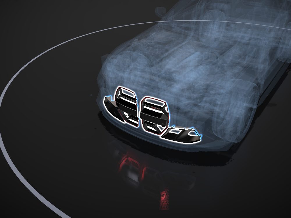 Kidney grille highlighted on the car